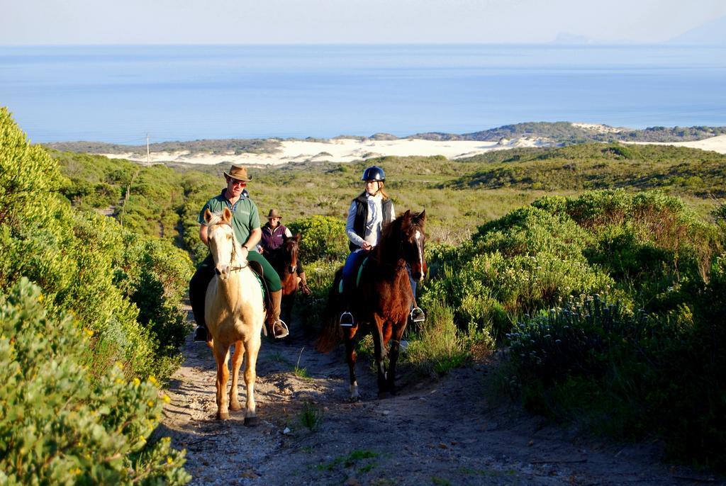 Grootbos Private Nature Reserve Gansbaai Exterior photo