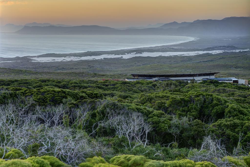 Grootbos Private Nature Reserve Gansbaai Exterior photo