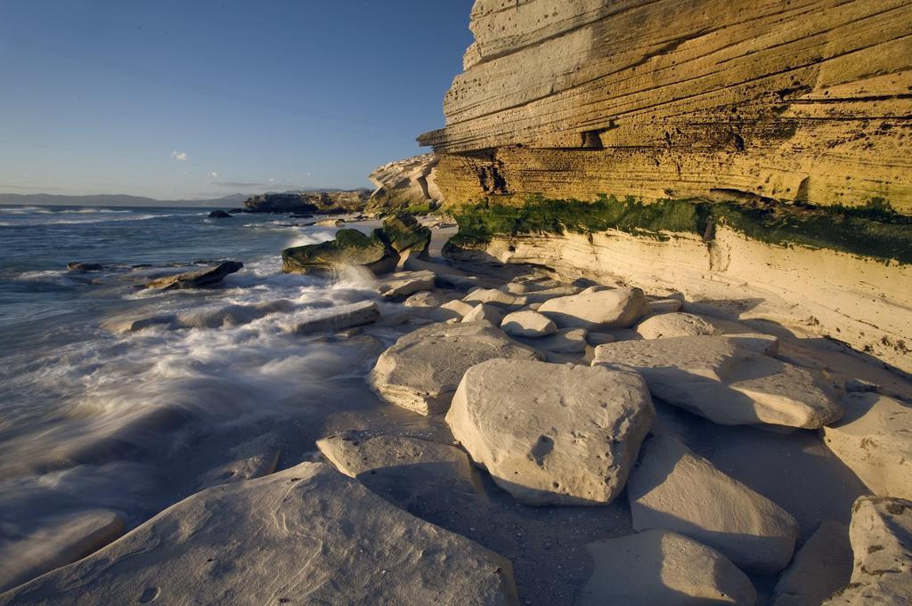 Grootbos Private Nature Reserve Gansbaai Exterior photo